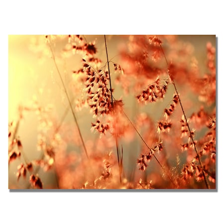 Trademark Fine Art Beata Czyzowska 'Sunset Conversations' Canvas Art, 18x24 BC0048-C1824GG